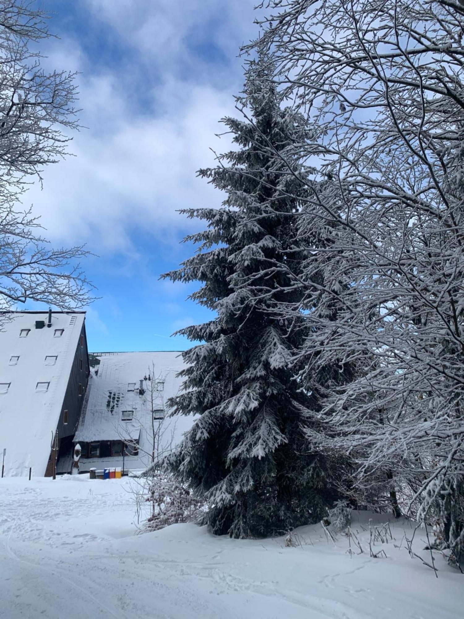 Apartman Zaly Benecko Exteriér fotografie